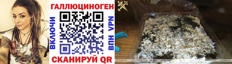 как найти   Холмск  Галлюциногенные грибы MAGIC MUSHROOMS 